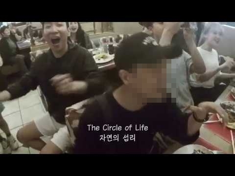  하모나이즈의 ‘남아공 식당 라이온킹 버스킹’ 영상