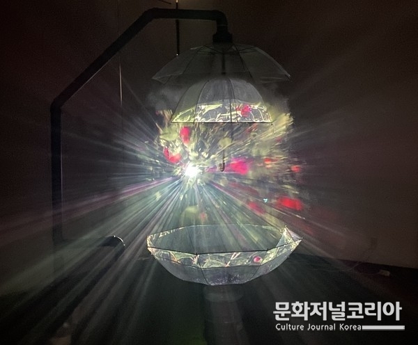 정기엽_제주는 비에 젖지 않는다,2022