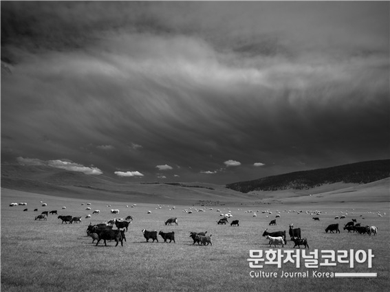 몽골의-평화-2022