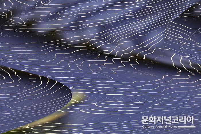 그래픽아트사진 명인으로 인증받은 김탑수 대표작품/ (사)국제문화예술명인명장회 