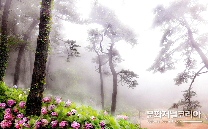 풍경사진 명인으로 인증받은 하부광 대표작품 / (사)국제문화예술명인명장회 