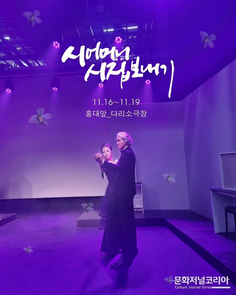 시어머니 시집보내기 포스터