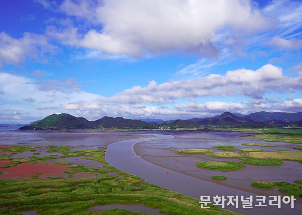 갯벌 사진_순천만