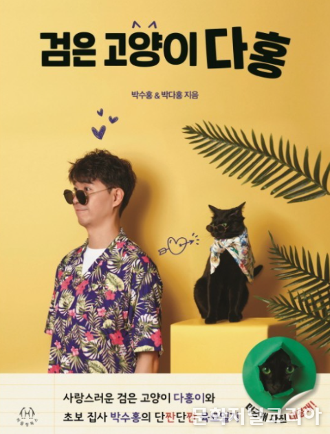  박수홍 '검은 고양이 다홍'