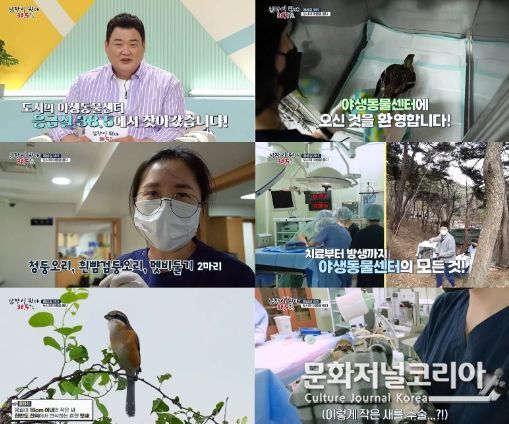 MBC ‘심장이 뛴다 38.5’