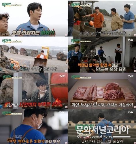 tvN ‘백패커