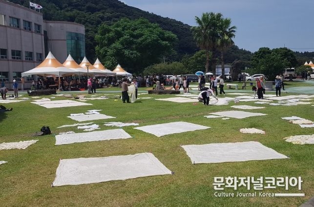 감물